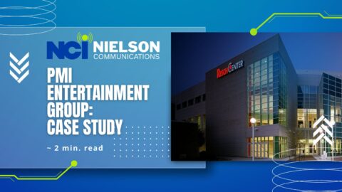 Pmi Entertainment Group Case Study Nielson Communications